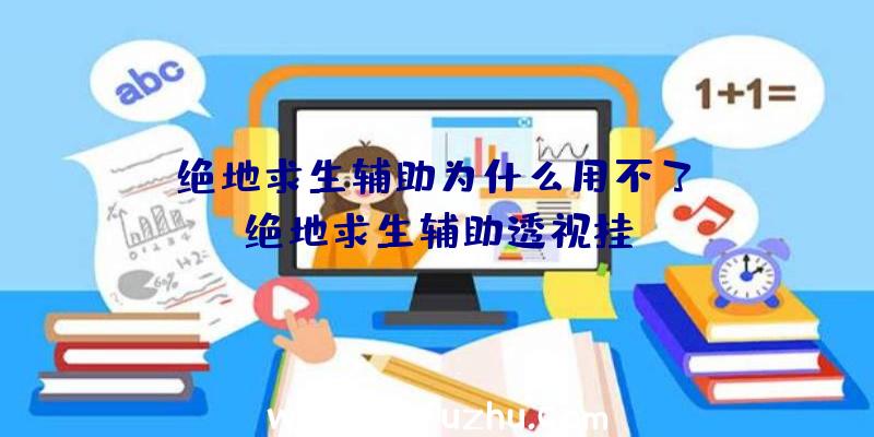 「绝地求生辅助为什么用不了」|绝地求生辅助透视挂